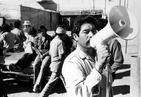 (3206) A scene from the D'Arrigo boycott (3206) A scene from the D'Arrigo boycott